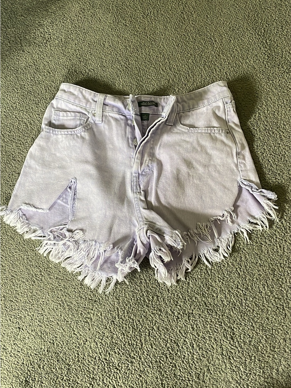 Purple wild fable shorts